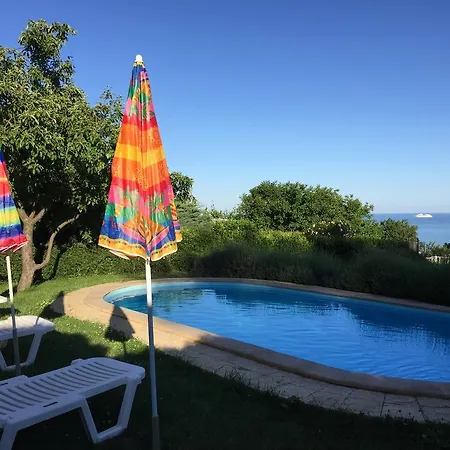 Holiday فيلة